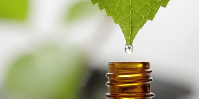 Plant-oil-dropping-into-glass-bottle-extract-essential-oils-Custom-Processing-Services