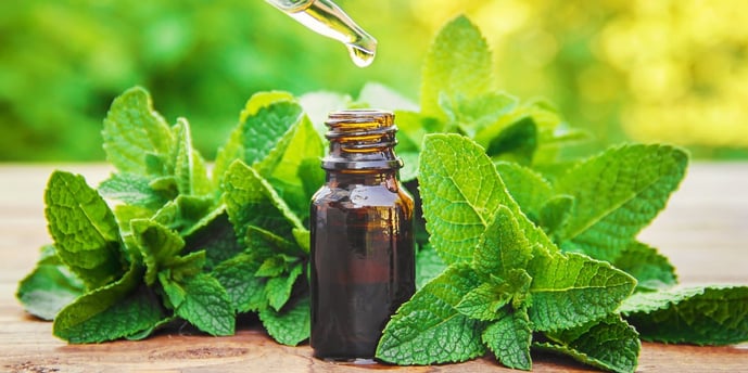 mint-leaf-dropper-herbal-processing-extraction-technologies-for-botanical-isolates