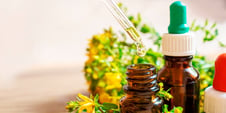 Why Expertise Matters in Your Choice of Botanical Extract Manufacturer