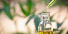 The Top 7 Most Important Details You Need to Know About Hemp Extraction Services